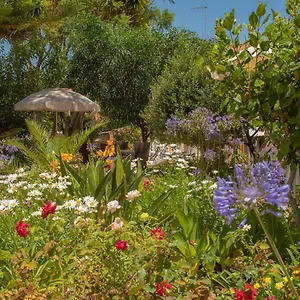  Apartment Quinta Paraiso Da Mia Two Bedroom